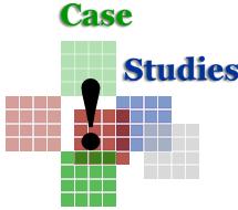 A Specialty Pipe and Tubes Case Study